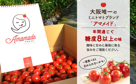 【2025年10月～順次出荷】ミニトマト2kg　アマメイド糖度8度以上　高リピート率野菜