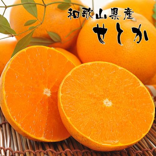 【ふるさと納税】和歌山有田の濃厚せとか（ご家庭用） 約4～5kg ［先行予約］ | くだもの フルーツ 果実 果物 有田 みかん 和歌山　［MS81］ | フルーツ 果物 くだもの 食品 人気 おすすめ 送料無料