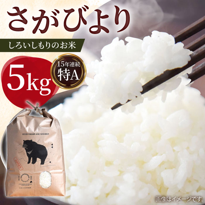 【令和7年10月以降発送】【R7年度産】しろいしもりのお米 さがびより 5kg【Sunrise328】 [ICD009]