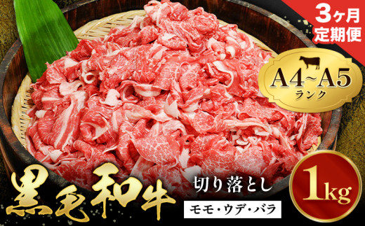 【3ヶ月定期便】黒毛和牛 切り落とし 小分け 1kg 定期便 A4～A5ランク 田中畜産 《お申込み翌月に出荷予定》 熊本県 苓北町 ミシュラン ビブグルマン 国産 肉 牛肉 黒毛 和牛 赤身 カレー 肉じゃが 牛丼 生姜焼き 炒めもの 煮込み 便利 使い勝手抜群 天草 産地直送
