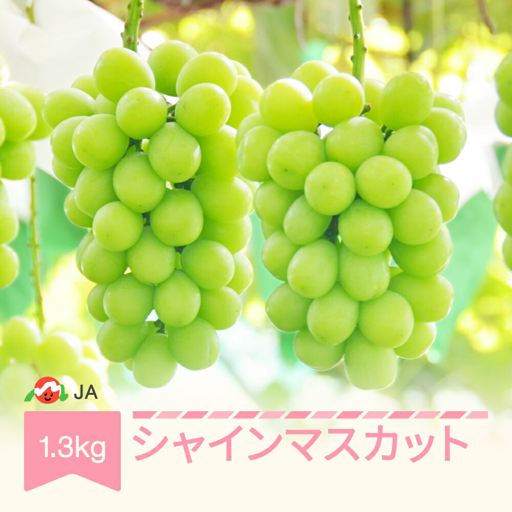 【ふるさと納税】先行予約 ぶどう ブドウ シャインマスカット 令和7年産 2025年産 約1.3kg 果物 送料無料