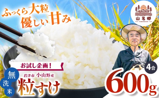 新米 無洗米 令和8年産 君津市小山野産 粒すけ 4合 約600g レターパックライト |  あかかげ農園 メディアで紹介 ！ 山名郷米 やまなごうまい 少量 千葉稲作 つぶすけ 千葉県産 むせんまい 米 コメ こめ お米 千葉県 君津市 きみつ