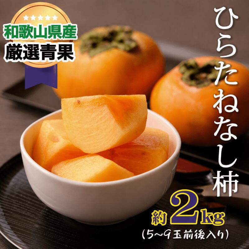 【ふるさと納税】 【甘みが自慢】たねなし柿(約2kg)【2026年10月上旬から11月上旬頃順次発送】 | フルーツ 果物 くだもの 食品 人気 おすすめ 送料無料 先行予約 数量限定 種無し たねなし かき