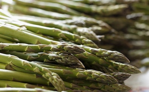 ［先行受付］おとふけの味覚セット(4回コース)【L11】