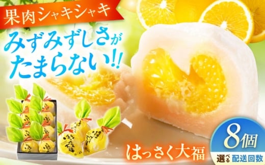 【全6回定期便】お菓子 はっさく大福8個入  お菓子 大福 八朔 柑橘 みかん オレンジ 餅 ギフト お取り寄せ スイーツ フルーツ大福 ご当地 菓子 おかし デザート 食品 人気 おすすめ 果汁 広島県産 特産品 産地直送 お取り寄せ 贈り物 ギフト 贈答品 絶品 和菓子 定期便 国産 白あん 個包装 逸品 定期便 福山スイーツ 広島県福山市/株式会社虎屋本舗[BADH023]