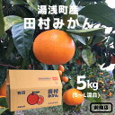 【ふるさと納税】【限定】 【先行予約】【産地直送】和歌山 湯浅町産 田村みかん 5kg S～Lサイズ混合【ミカン 蜜柑 柑橘 温州みかん 有田みかん 和歌山】