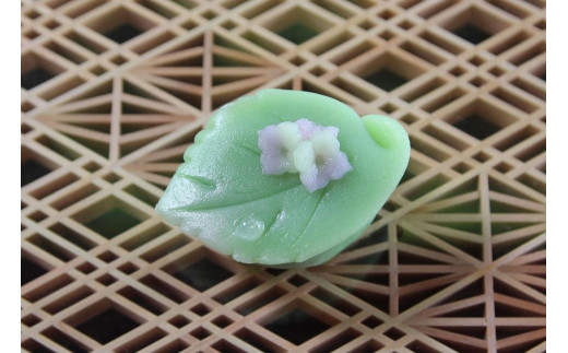 和菓子 越後高田 季節の上生菓子 ５種×２個