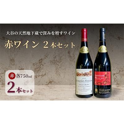ふるさと納税 宇都宮市 大谷の天然地下蔵で深みを増すワイン ブルゴーニュ 熟成ボージョレ ヌーヴォー 赤 2本セット