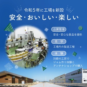 果実と果汁だけの甘み いちご 260g×6 | 兵庫県 丹波篠山市  KTS043