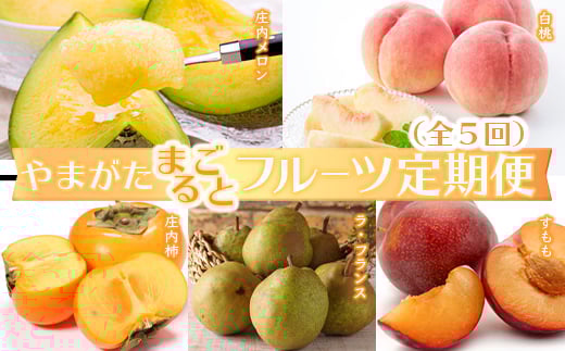 
                  《2026年発送先行予約》やまがたまるごとフルーツ定期便（全5回）  もも モモ 桃 デザート フルーツ 果物 くだもの 果実 食品 山形県 FSY-2598
                