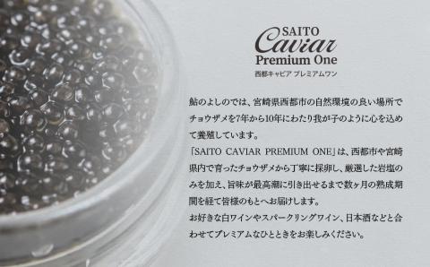 西都キャビア プレミアムワン バエリ 40ｇ『SAITO CAVIAR PREMIUM ONE BAERII』 国産 《西都市オリジナル》 熟成キャビア＜7.5-11＞