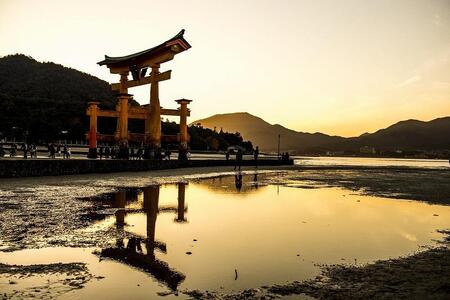 【藤い屋】もみじまんじゅう　こしあん　20個入り