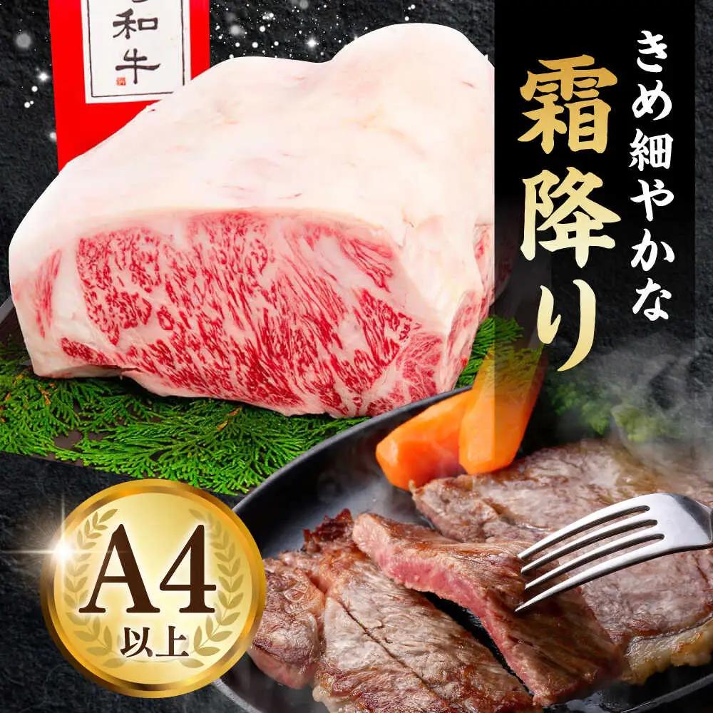 牛肉 長崎和牛サーロインステーキ 計460g[OAA005] 牛肉 焼肉 ステーキ