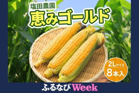 【ふるなびWEEK対象】北海道産 とうもろこし 恵味 ゴールド 2L 8本 8月中旬～9月下旬頃お届け 朝採り 恵味 めぐみトウモロコシ スイート コーン 甘い 新鮮 先行受付 夏 野菜 産地直送 塩田農園 送料無料 北海道 洞爺湖町