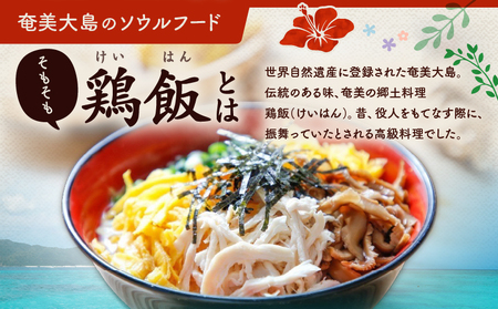 【 奄美 の 郷土料理 ！ 】鶏飯（けいはん）2人前 真空パック冷凍 A196-001 伝統 スープ 真空パック 鶏 鶏肉 奄美冷凍鶏飯 ふるさと納税 鹿児島 奄美 おすすめ ランキング プレゼント 