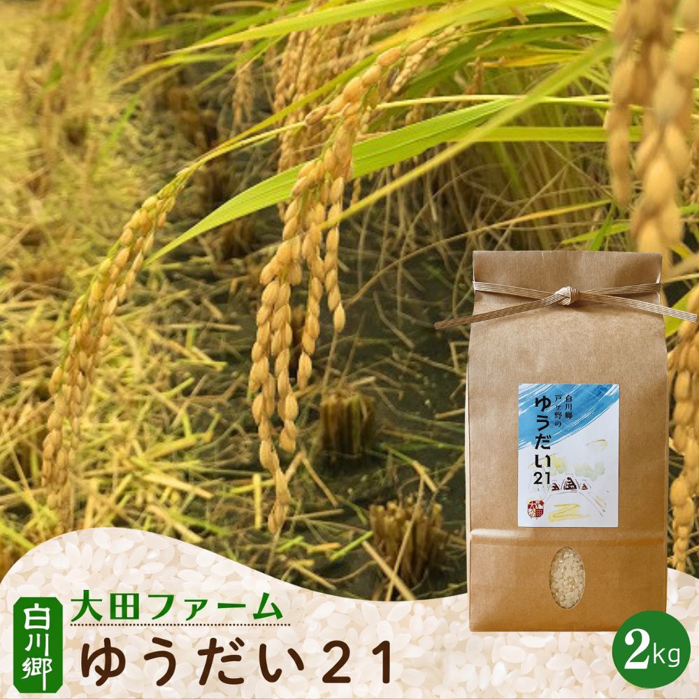 【ふるさと納税】 【令和8年産 先行予約】白川郷 ゆうだい21　2kg こだわりのお米 精米 ゆうだい ごはん おにぎり ご飯 食事 米 白米 弁当 甘い もっちり 岐阜県 飛騨 世界最高米認定農家 大田ファーム 8000円 [S991]