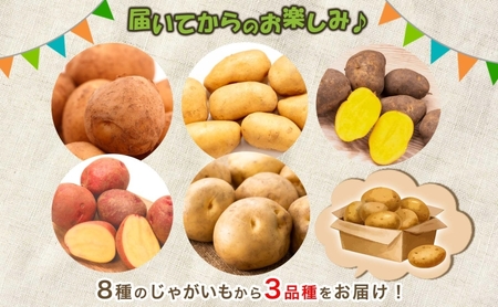 のざわ農園 じゃがいも詰め合わせセット 3kg メークイン ダンシャク トウヤ トカチゴカネ キタアカリ アンデスレッド インカのめざめ インカのひとみ いも 芋 じゃがいも 野菜 送料無料 北海道 