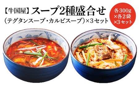 【牛国屋】スープ2種盛合せ（テグタンスープ、カルビスープ）　各300g×2袋×3セット　【11100-0796】