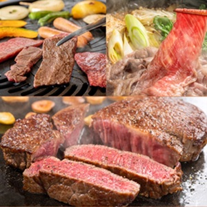 牛肉 備中牛 黒毛和牛 ロース すき焼 焼肉 岡山県産 牛肉【各1kg 計3kg】【定期便3回】