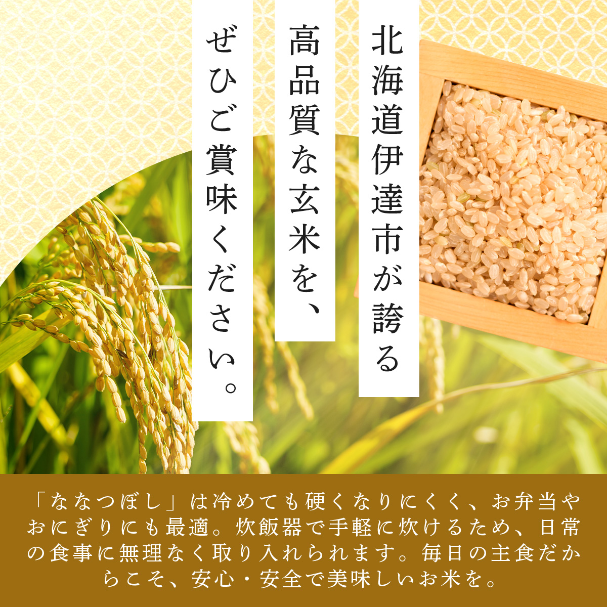 令和7年産 北海道伊達市産 ななつぼし 玄米 5kg【tkk-019】【2025年10月1日発送開始】_イメージ4
