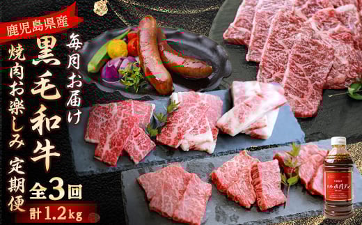 ＜毎月定期便＞黒毛和牛焼肉お楽しみ定期便1.2kg(枕崎市) DD0-0029 全3回【4072115】