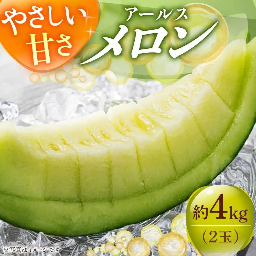 【先行予約】アールスメロン 約4kg 2玉 [DAT002] 12月発送 メロン