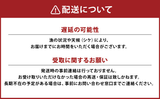 【活加工】剥きほっき（刺身用）1kg（20玉前後）×1袋 【6月上旬～11月上旬発送不可】 ほっき ほっき貝 ホッキ ホッキ貝 北寄 北寄貝
