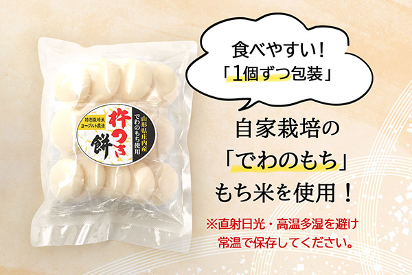 庄内町産 杵つき餅 380g×24袋 約9kg『特別栽培米 でわのもち』使用 柔らかく よく伸びる 個包装 小さめ 自家栽培 でわのもち ヨーグルト農法 杵つき 丸もち お餅 丸餅 餅 梅木もち屋 通