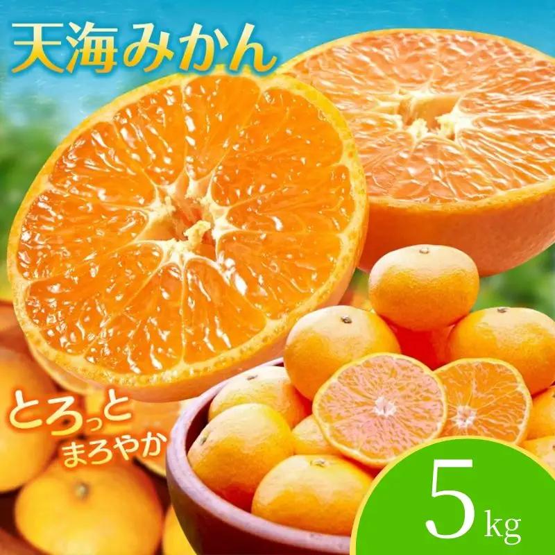 【みかん】宮川早生 完熟早生みかん 5kg 【nak006-1】