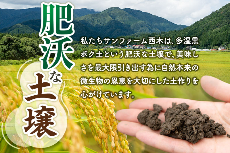 【白米】＜令和6年産 予約＞ 秋田県産 あきたこまち 10kg (5kg×2袋) 10キロ お米