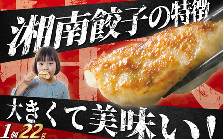 中華大新 餃子 75個 1.6kg以上 冷凍餃子