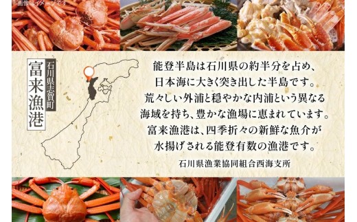 12月発送【能登半島 漁協直送！】ボイル済 香箱ガニ 10尾 [JF西海 石川県 志賀町 AM4228-12gatsu] 蟹 カニ かに ズワイガニ セコガニ メス 内子