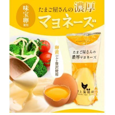 ふるさと納税 鞍手町 たまご屋さんの濃厚マヨネーズ2本　野上養鶏場　味宝卵
