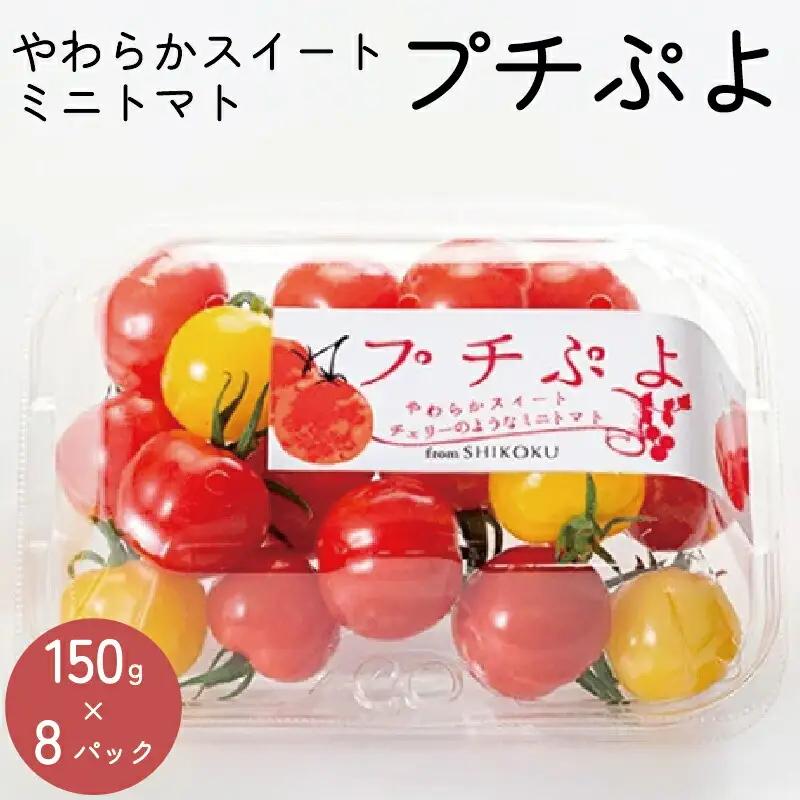トマト 薄皮 プチぷよ 1.2kg (150g×8)  ミニトマト