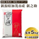 【ふるさと納税】【令和6年産新米先行予約】 新潟県産 新之助 玄米5kg 選べる配送回数 （通常配送1回～定期便12回） 新潟 ブランド米 加茂市 加茂ユナイテッド