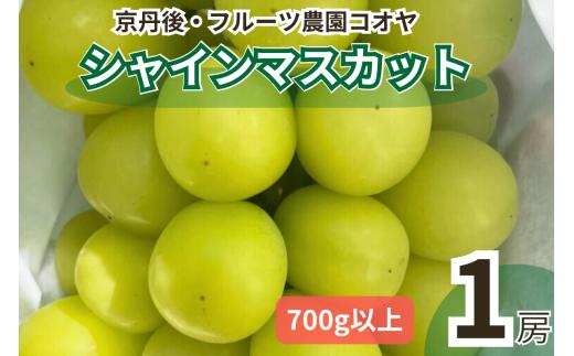 【先行予約／数量限定50】シャインマスカット 700g以上（1房入り）（2025年9月上旬～発送）　FK00008