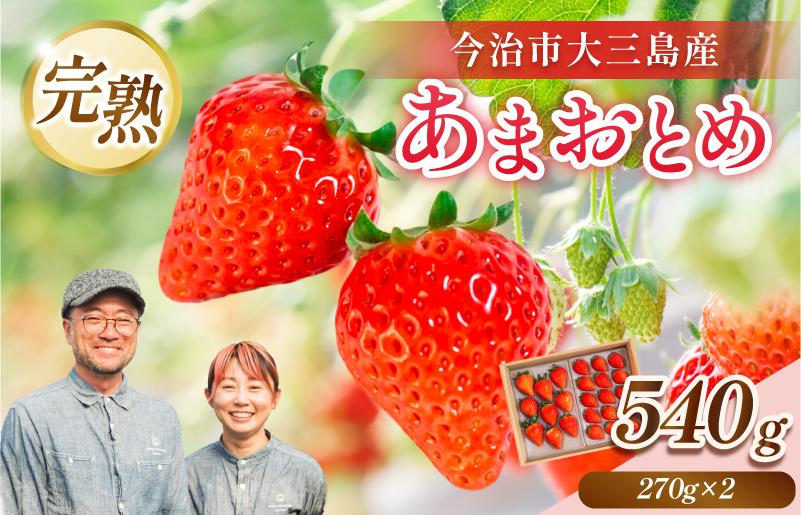 
                  【先行予約】井上苺園　あまおとめ（270g×2パック）【V002540】
                