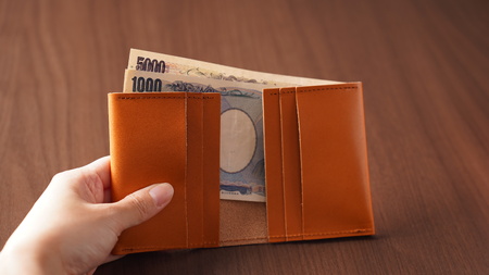 ミニ財布 札入れ 栃木レザー 牛革 日本製 レザー 天然皮革 レディース メンズ シンプル:ブラウン
