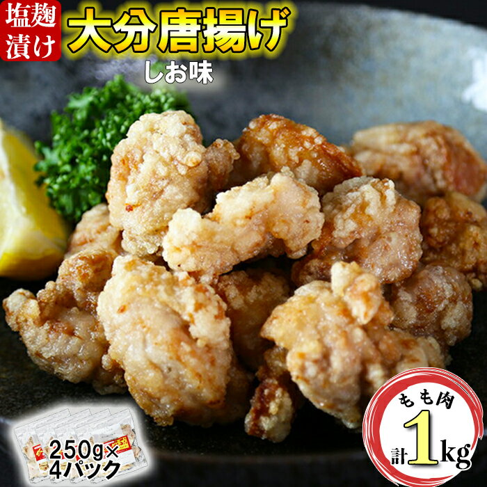 【ふるさと納税】からあげ幸力の大分唐揚げ1キロ（しお味）＜057-009_5＞