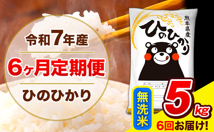 令和7年産 ひのひかり【6ヶ月定期便】無洗米  5kg (5kg×1袋) 計6回お届け 《お申込み翌月から出荷》 熊本県産 無洗米 精米 ひの 米 こめ お米 熊本県 長洲町---hn7tei_63000_5kg_mo6_ng_m---