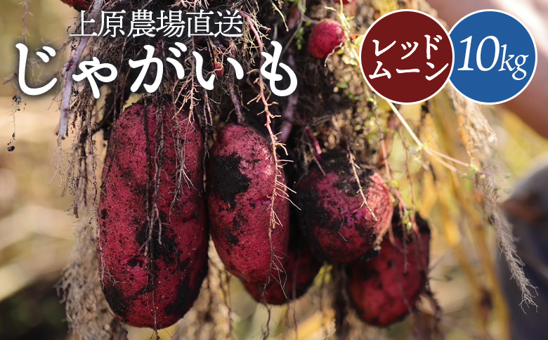 【先行予約】上原農場直送じゃがいも（レッドムーン） 【S〜2Lサイズ混合】10kg【66005】