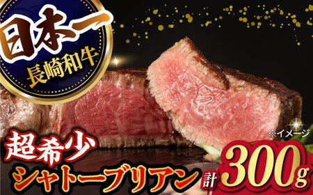 【極上の赤身肉】シャトーブリアン ステーキ 長崎和牛 計300g以上 （約150g×2枚）【肉のマルシン】 [FG08] 和牛 牛肉 赤身 ヒレ ステーキ 焼肉