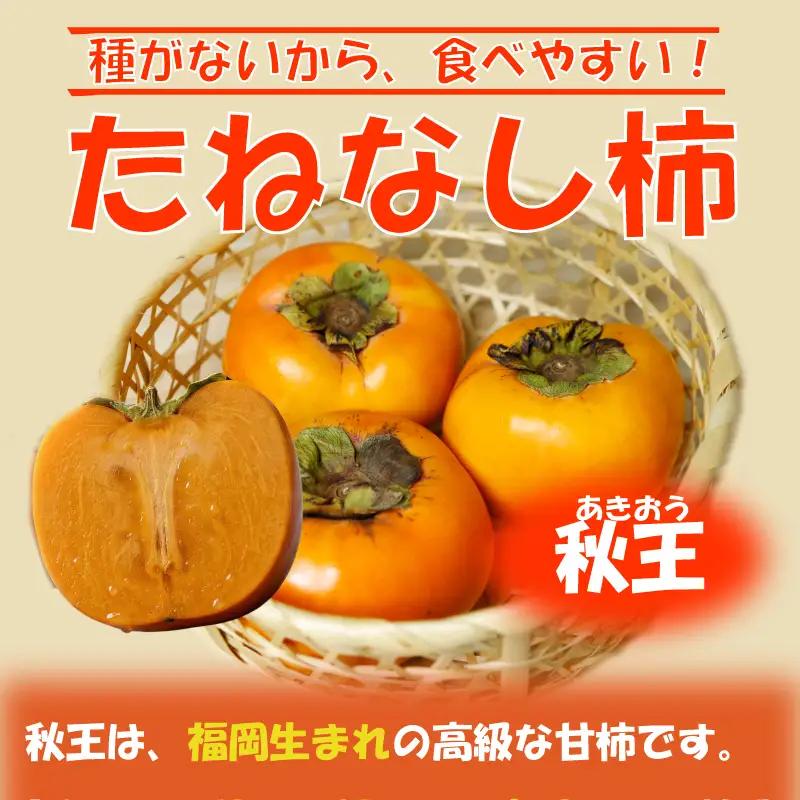 博多秋王【優等品】 約約10.5kg以上【約3.5kg以上(8玉-12玉入り)×3箱】| 秋王 柿 KBY