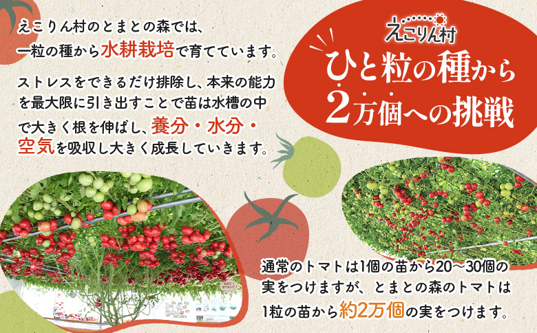 えこりん村トマト使用のポテトチップス60g×4袋【190012】