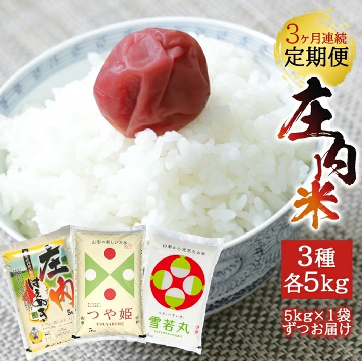 SF0340　【3回定期便】令和7年産［精米］庄内米3銘柄食べ比べ(はえぬき、雪若丸、つや姫)　5kg×3回(計15kg)《農産物検査員おすすめの庄内米》 SY