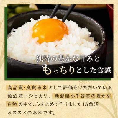ふるさと納税 小千谷市 【発送月固定定期便】2025年11月発送開始予定 魚沼産コシヒカリ 精米5kg【JA魚沼】全6回 |  | 01
