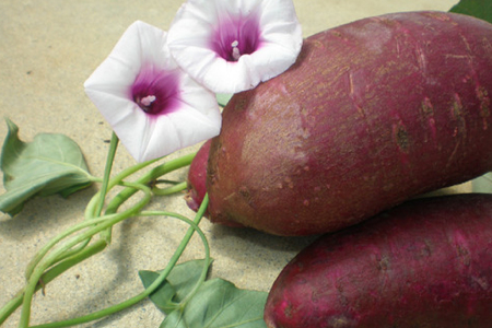 紅芋菓子 セット チップス 2袋 かりんとう 2袋 [伊江島物産センター 沖縄県 伊江村 ie47bde210015] 紅芋 紅芋カリカリ 香ばしい 食感 濃厚な