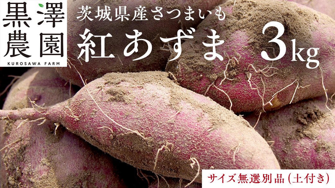 
                  【茨城県産】さつまいも 紅あずま 3kg サイズ無選別品(土付き) 芋 サツマイモ 甘い 焼き芋 国産 おいしい 天ぷら 煮物 スープ 大学芋
                