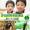 【ふるさと納税】【幼児～小学生対象】昆虫飼育体験講座Aコース（昆虫成虫1ペアと飼育セット付き＜体験：7月～9月の各日曜日＞）ご利用券（1名様）　【 体験チケット 生き物 子供 キッズ 】　お届け：2024年5月下旬～2024年6月下旬まで