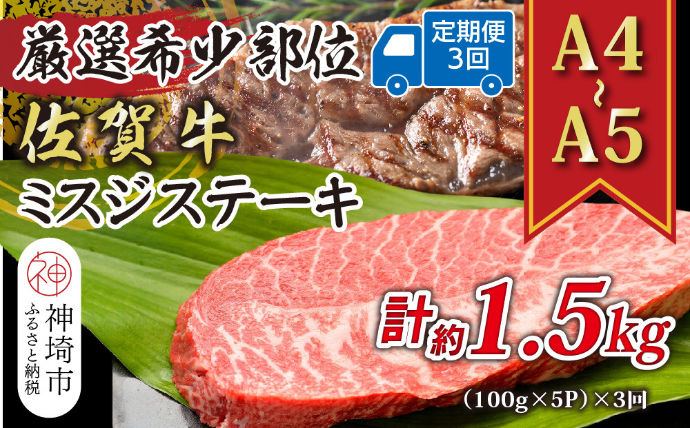 
            【3か月定期便】【厳選希少部位】【A4～A5】佐賀牛ミスジステーキ 約500g(100g×5P)×3回【肉 牛肉 ブランド牛 黒毛和牛 ステーキ肉 ふるさと納税】(H112262)
          